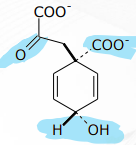 <p>[SHIKIMIC ACID PATHWAY] In phenylalanine biosynthesis what are the intermediates</p>