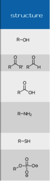 <p>Also know which make drugs hydrophilic and hydrophobic </p><p>Which structure will increased clearance, half-life, therapeutic window, bioavailability, distribution</p>