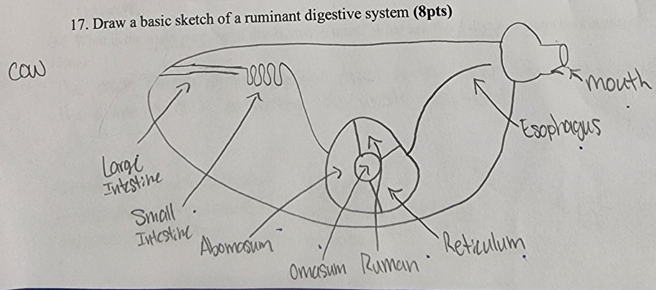 knowt flashcard image