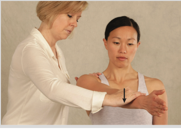 <p><strong><em>General Rotator Cuff Test</em></strong></p>