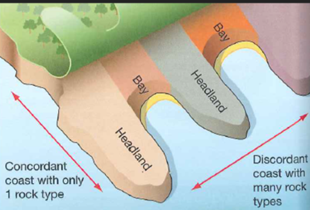 <p><strong>Headlands and bays</strong><span>&nbsp;most commonly form along discordant coastlines. Discordant coastlines form where geology alternates between bands of hard and soft rock</span></p><p><span>Where the coasts has the same type of rock along its length fewer bays and headlands are formed as the rate of erosion tends to be similar. These types of coast are known as concordant coastlines. The outer hard rock (for example,&nbsp;granite) provides a protective barrier to erosion of the softer rocks (for example,&nbsp;clays) further inland.Sometimes the outer hard rock is punctured, allowing the sea to erode the softer rocks behind. This creates a&nbsp;cove, a circular area of water with a relatively narrow entrance from the sea.</span></p>