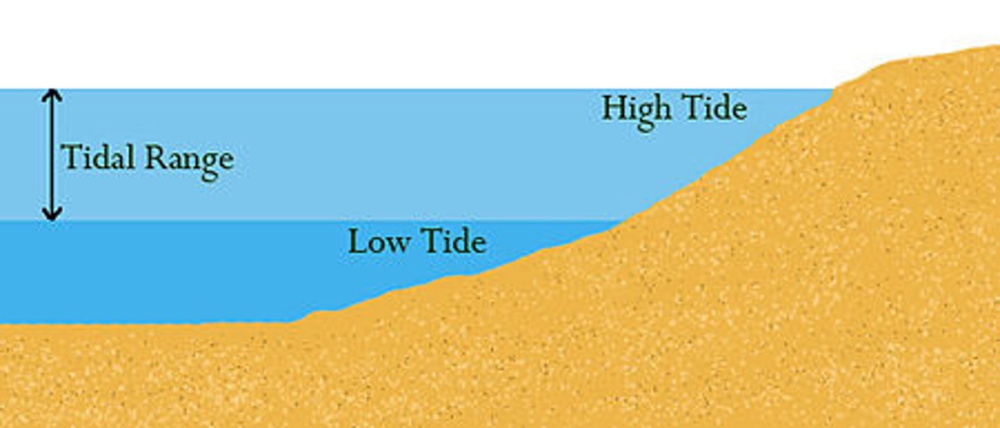 <p>the difference in levels of</p><p>ocean water at high tide and low tide.</p>