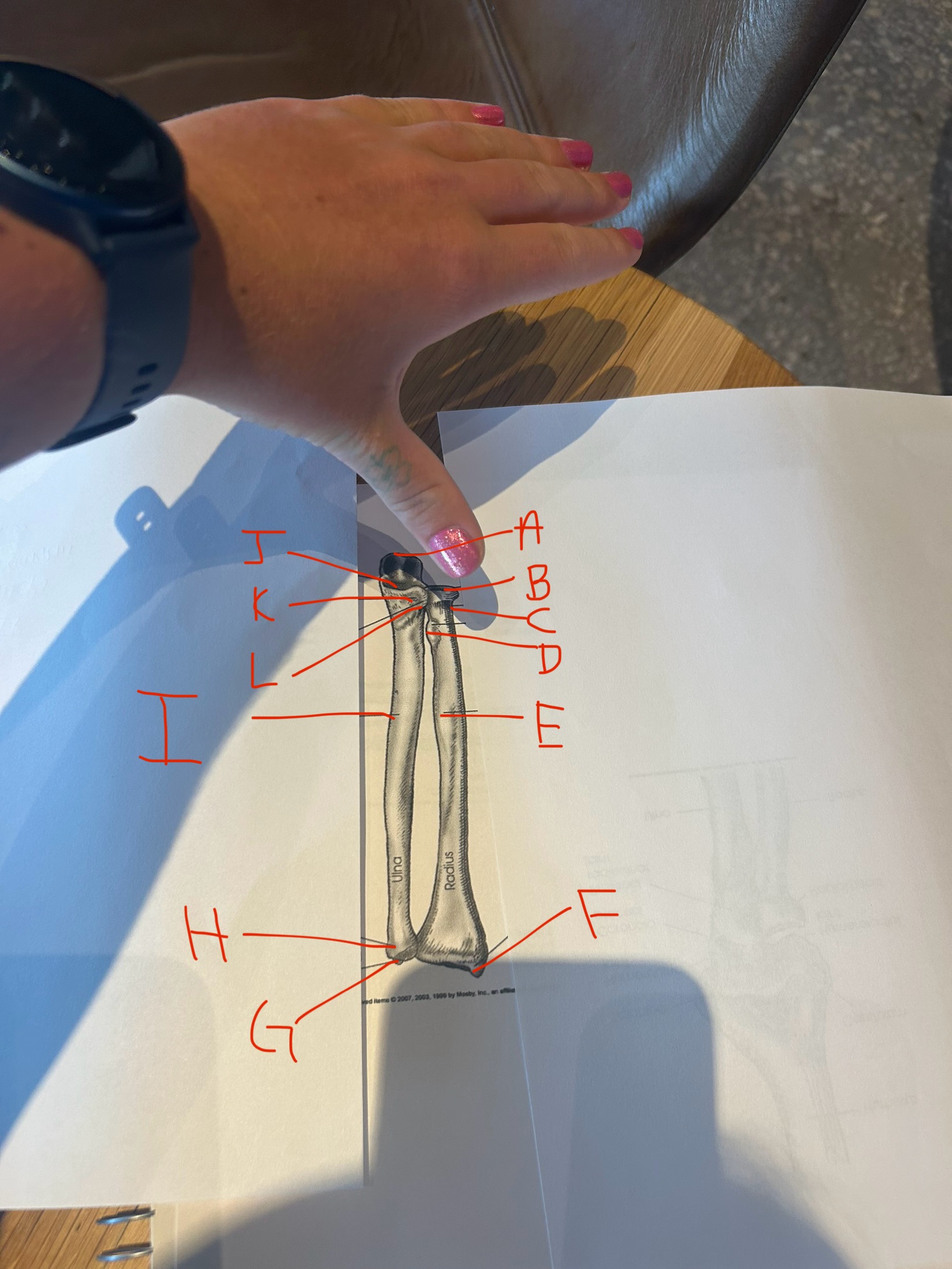 <p>label this image</p>