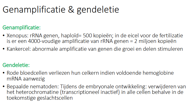<p>verliezen hun celkern indien voldoende hemoglobine mRNA aanwezig is</p>