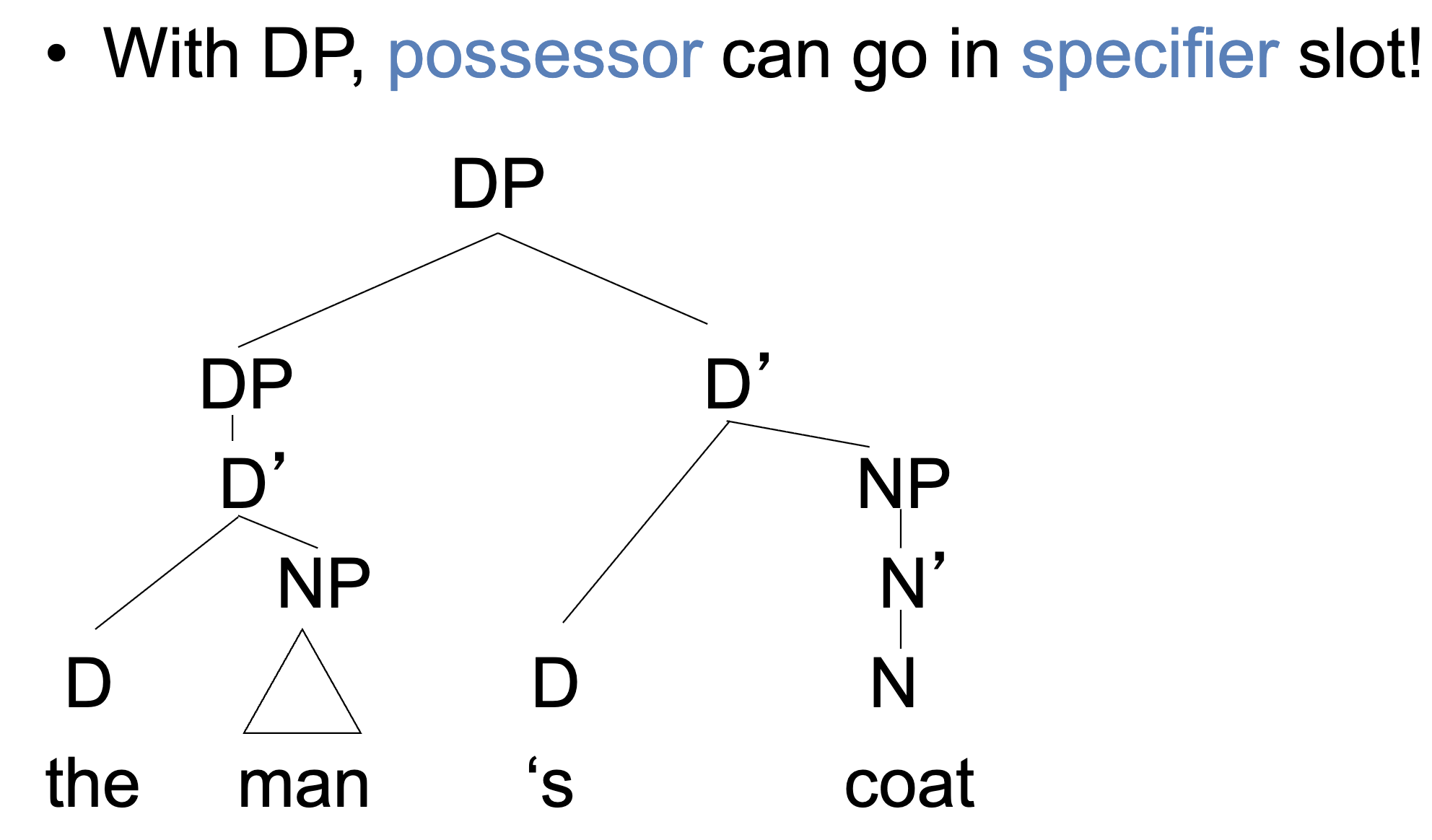 <p><span style="color: rgb(255, 255, 255);"><span>possessives indicated with with ‘s</span></span><span style="color: rgb(255, 255, 255);"><br>- ex.&nbsp;</span><span style="color: rgb(255, 255, 255);"><span>the man’s coat</span></span></p><ul><li><p><span style="color: rgb(255, 255, 255);"><span>‘s and determiners being in complementary distribution suggests both are determiners</span></span></p><ul><li><p>‘s + NP being possessed = D’</p></li></ul></li></ul><p></p>