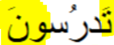 <p>Tadrusoona</p>