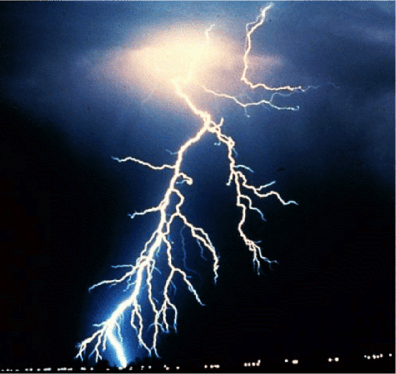 <p>the lightning</p>