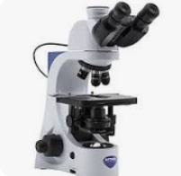 <p>Binocular Bright-Field Microscope</p>