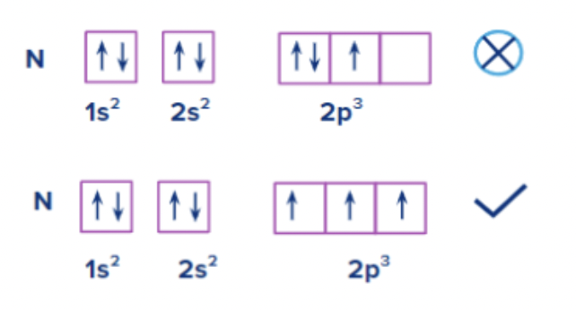 <p>First fill each orbital with 1 electron, then start adding the second </p>