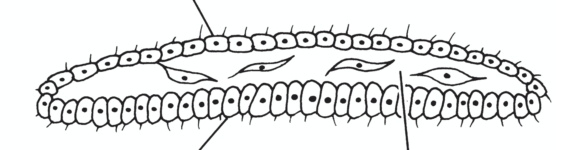 <p>what is depicted here </p>