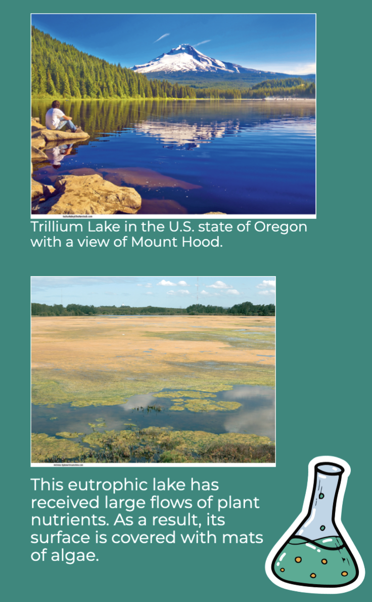 <p><span><strong>Lakes</strong></span></p>