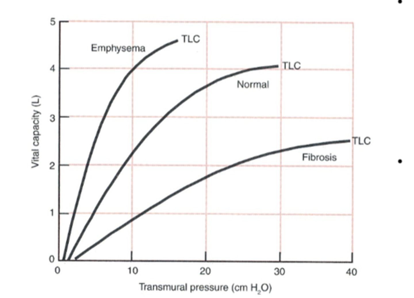 <p>reduces the recoil tendency of the lung = increased compliance</p>