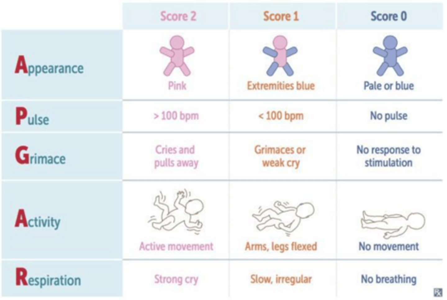 <p>Appearance, Pulse, Grimace response, Activity, and Respiration.</p>