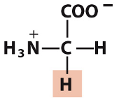 <p>Which amino acid is this?</p>
