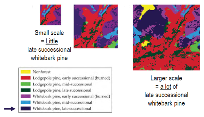 <p>the area or time period encompassed by a study</p><p>determines the outcomes so it must be chosen based on the research question</p><p>e.g. whitebark pine: small scale = little late successional pine; larger scale = a lot of late successional pine</p>