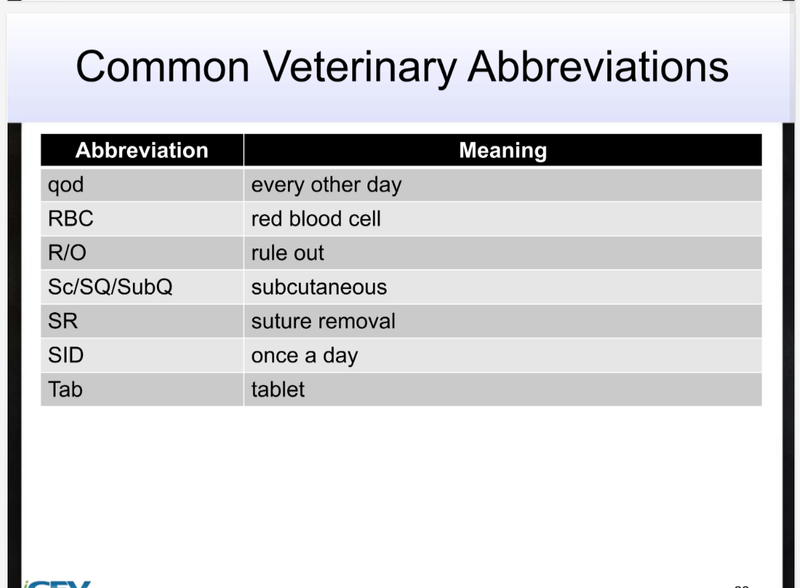knowt flashcard image