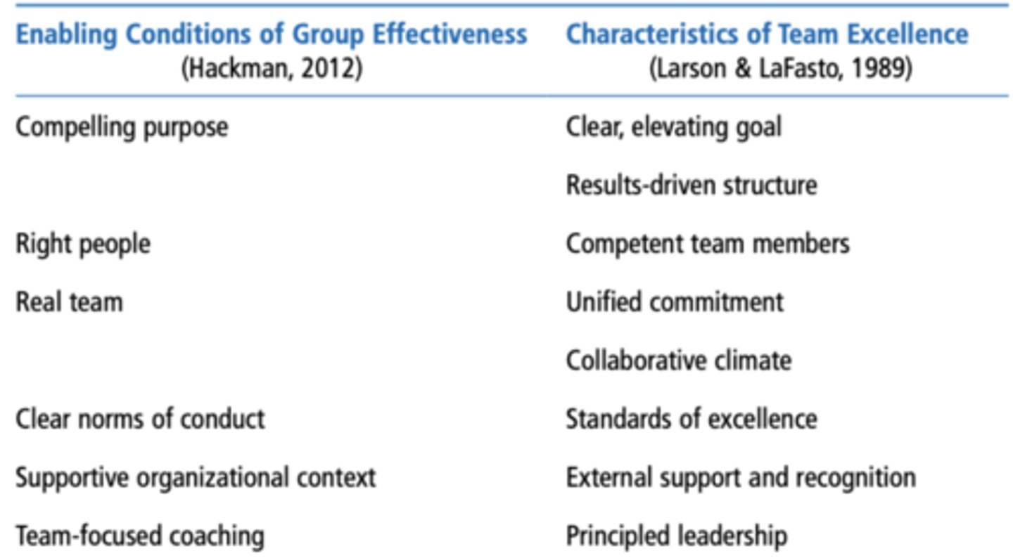 <p>Provides leader or designated team member(s) with a framework to assemble a mental model to help diagnose team problems, and take appropriate action to correct team problems</p>
