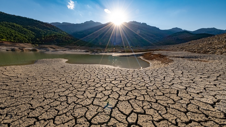 Desertification 