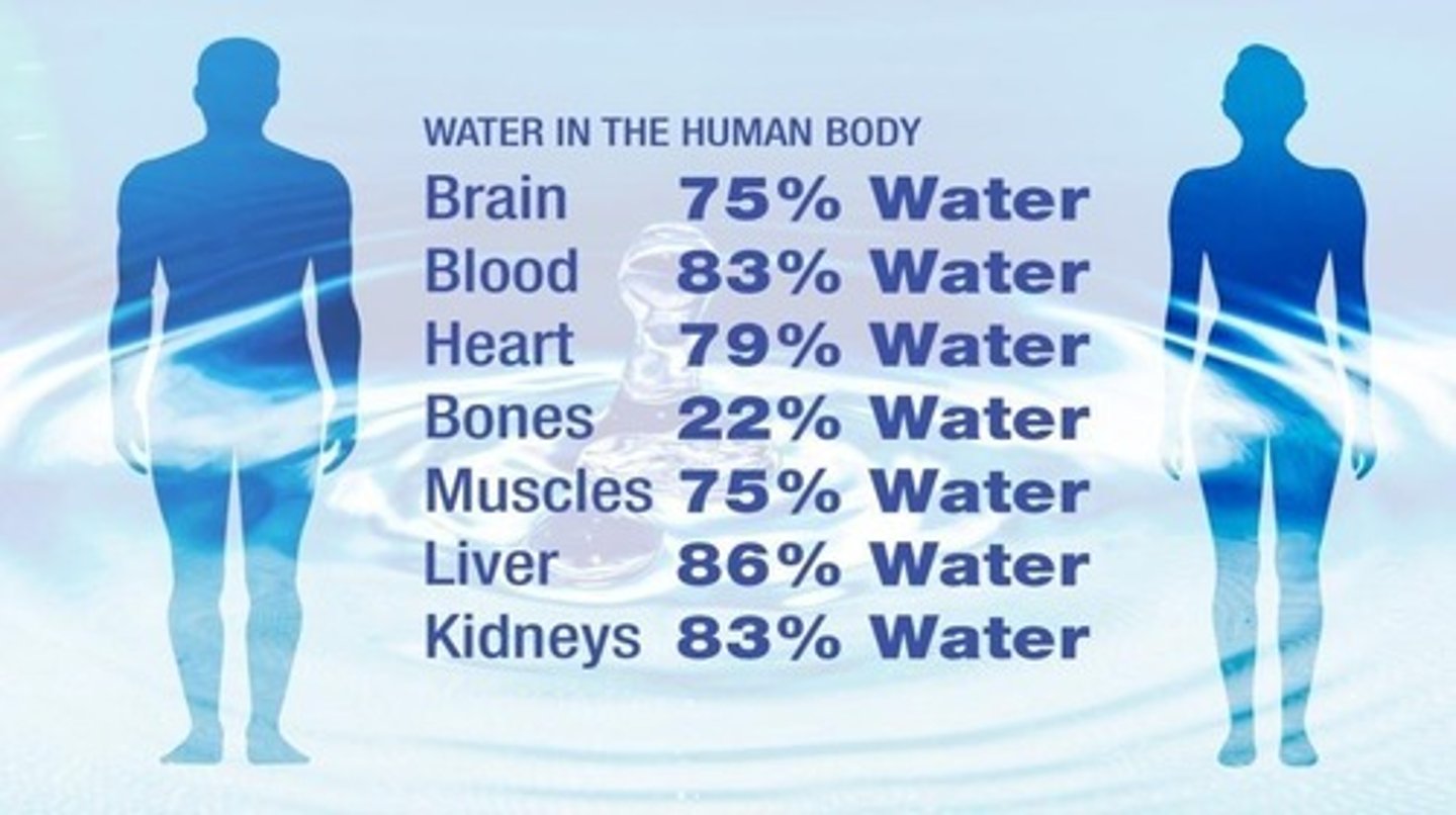<p>Water is the most abundant molecule in cells, accounting for 70% or more of total cell mass.</p>