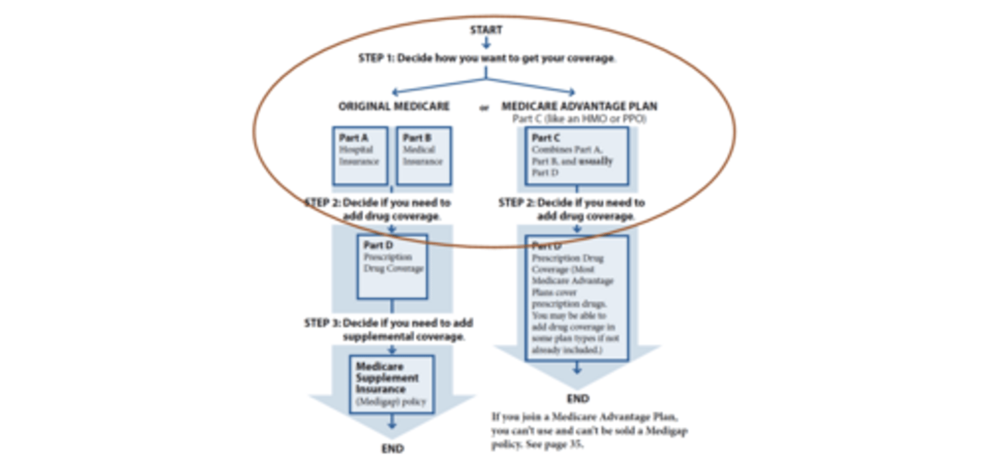<p>Original Medicare or Medicare Advantage Plan</p>