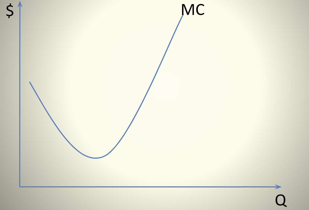 <p>The Firm’s Cost Structure</p>