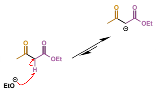 <p>this deprotonation is the equilibrium shifting step - K<sub>eq </sub>= ca. 10<sup>5</sup></p><p>without this step the reaction does not happen as the product is thermodynamically unfavourable until this point</p>