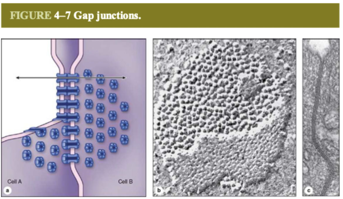 <p>communication</p>