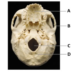 <p>What is B?</p>