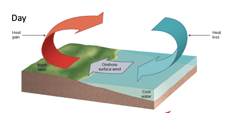 …land heating faster than the ocean during the day