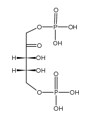 <p>ribulose 1,5-bisphosphate</p>