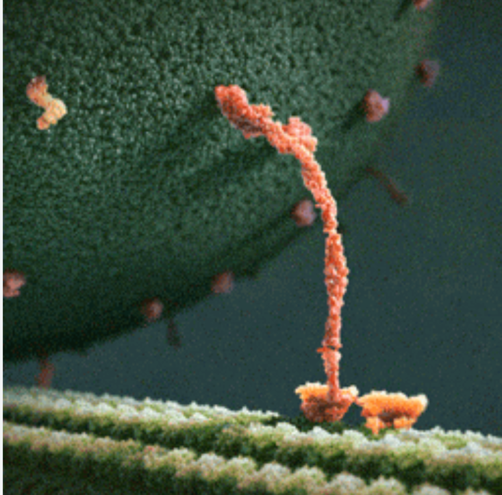 <p>Who is this cunty diva and what does she do</p>