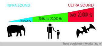 20 Hz to 20,000 Hz