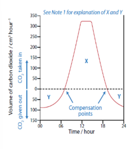 <p>explain graph</p>
