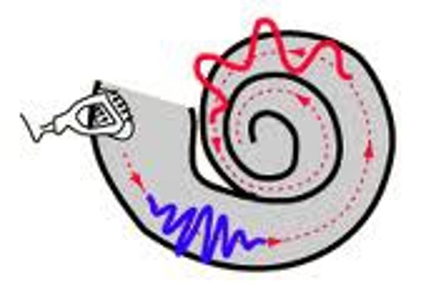 <p>the inverse of period, the number of cycles or of wavelengths passing a position every second.</p><p>Measured in: Hertz (Hz)</p>