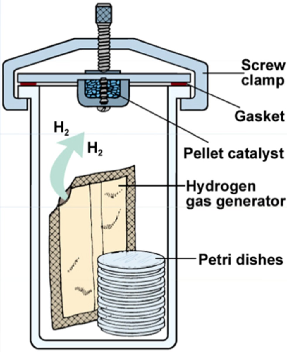 <p>Used to create anaerobic, microaerophilic, CO2-enriched</p><p>conditions depending on specific needs of bacteria being cultivated</p>