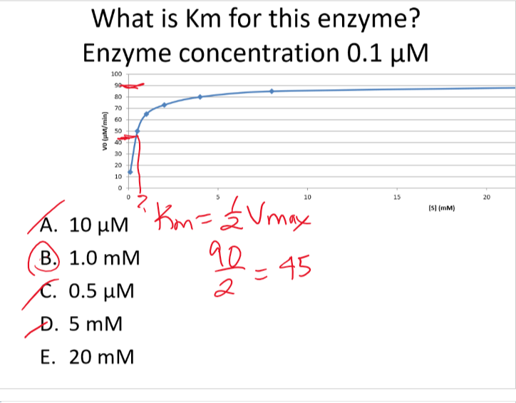 <p>B</p><p>Km=(1/2)Vmax = 90/2 = 45</p>