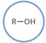 <p>Which functional group is shown? (R = rest of molecule, X = any halogen)</p>