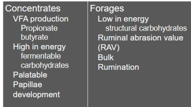 <p>concentrations - start fermentation in rumen of calves- enzymes are different so digest more easily</p><p></p><p>structural carb = cellulose not starch</p>