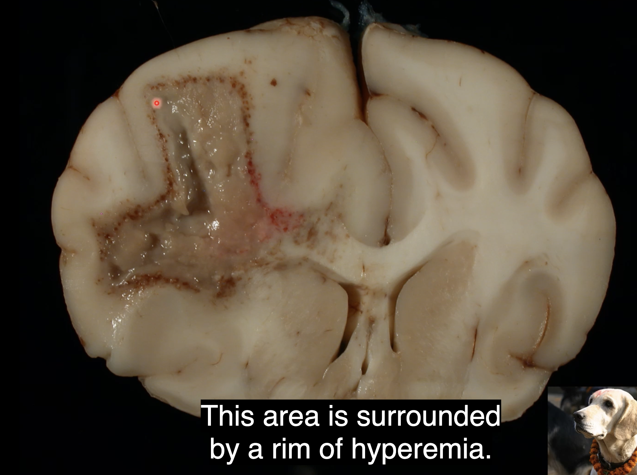 <p>what is this?</p>