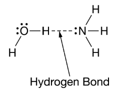 <p>Water and ammonia interact to form hydrogen bonds, as represented in the figure. Which statement best helps explain the formation of the hydrogen bond represented in the figure? <strong>Select two.</strong></p>