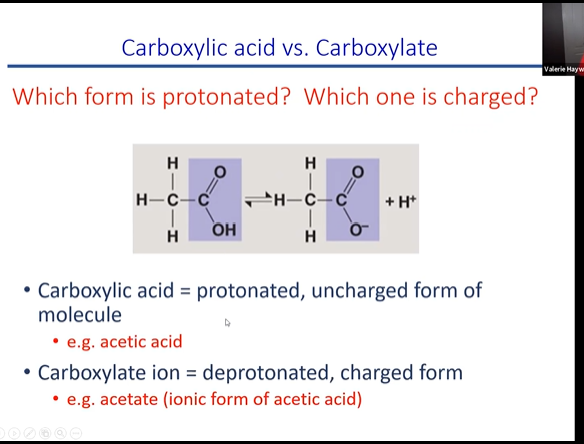 fucntions as an acid when you put it into soltuion. when acid put into solution it gives off a proton making soltuion more acidic. this causes them to lose a hydrogen on the OH and therefore becomes negatly charged in the soltuion