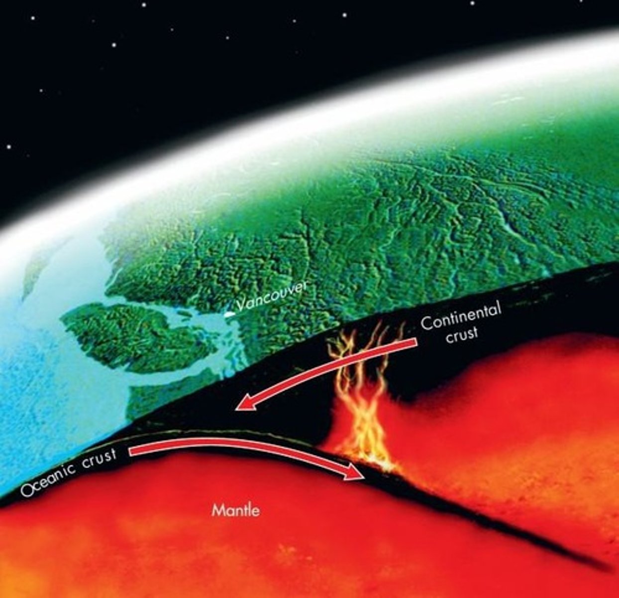 <p>Located near plate boundaries, 2/3 found on 'Ring of Fire' in Pacific; subduction zones &amp; mid-ocean ridges allow molten rock to reach surface.</p>