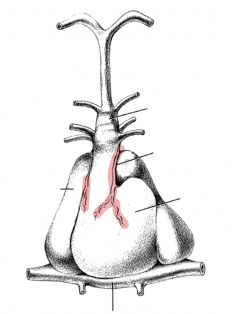 <p>what is this?</p>