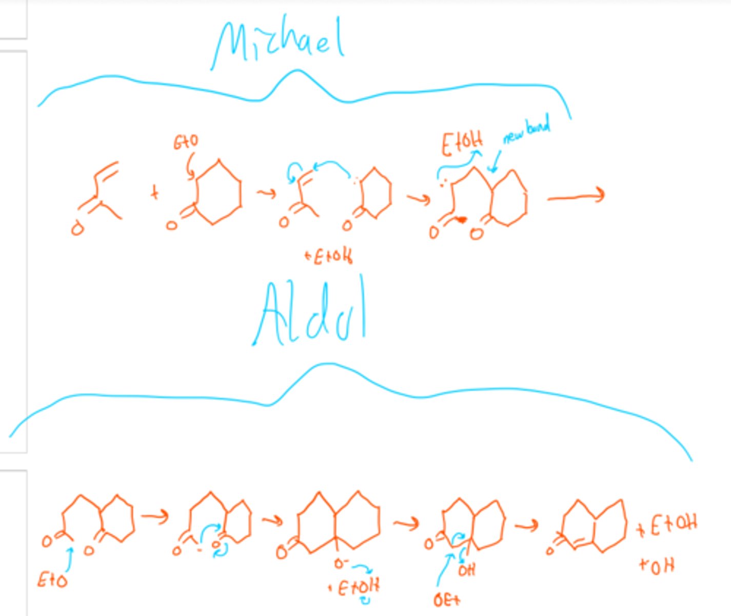 <p>(n.) ring-like markings</p>