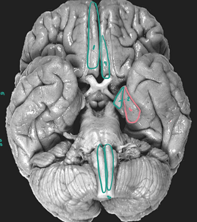 <p>What is number 3?</p>
