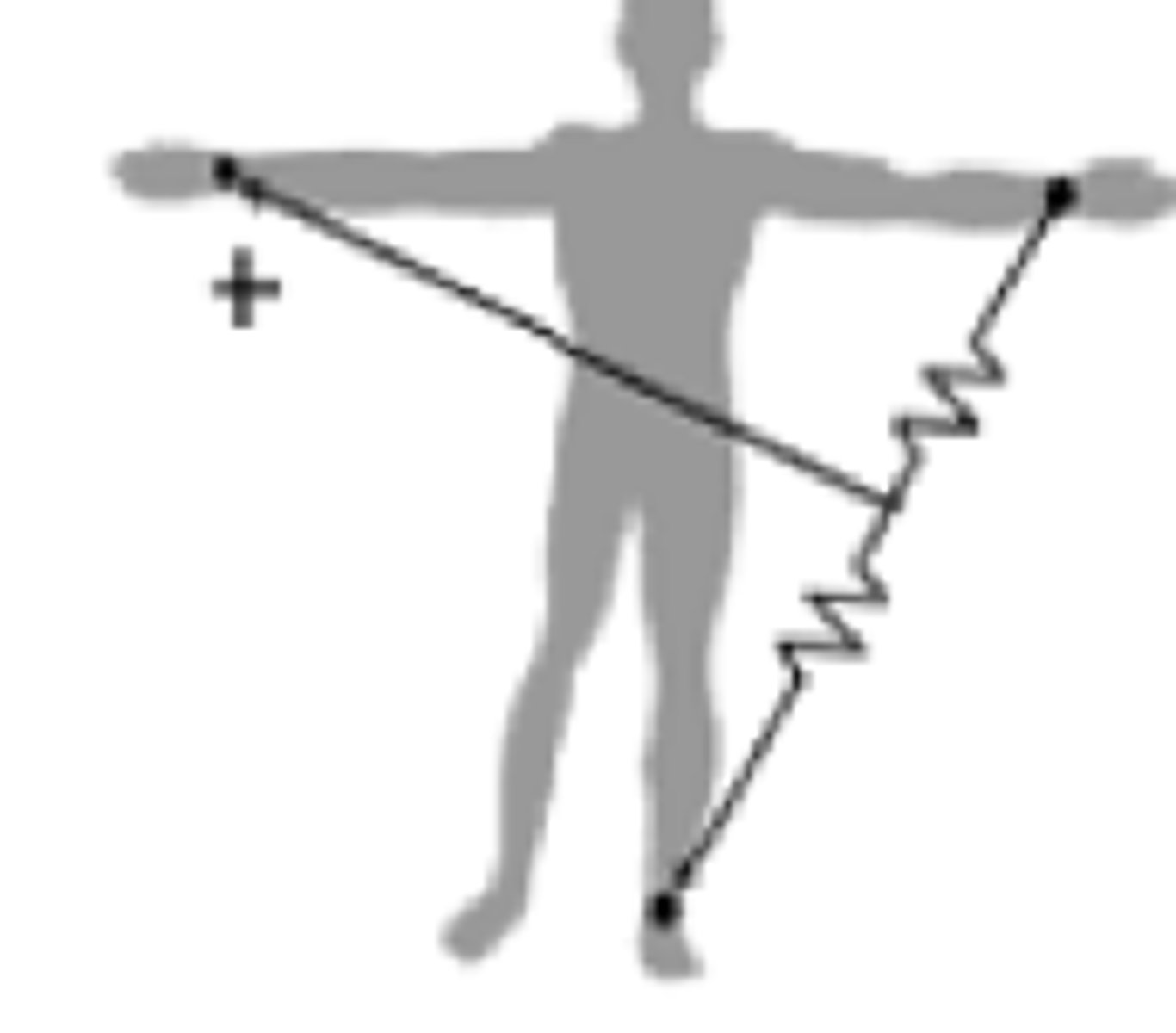 <p>The left arm &amp; left leg help w/ the right arm tracing</p>