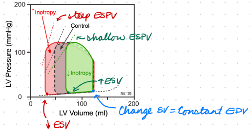 <p>Increase Contractility:</p><ul><li><p>Steep end-systolic pressure-volume relationship (ESPVR)</p><ul><li><p>Up and left</p></li></ul></li><li><p>Increase SV = Decrease ESV</p></li></ul><p>Decrease Contractility:</p><ul><li><p>Shallow ESPVR</p><ul><li><p>Down and right</p></li></ul></li><li><p>Decrease SV = Increase ESV</p></li></ul><p></p>