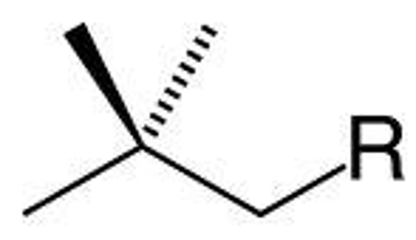 <p>continuous chain except two carbons</p>