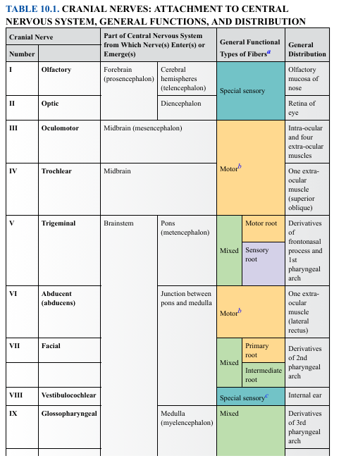 <p><strong>CRANIAL NERVE VII — FACIAL</strong></p><ul><li><p><strong>Origin:</strong> Pons + junction between pons and medulla </p></li><li><p><strong>Function type:</strong> Mixed</p></li><li><p><strong>Distribution:</strong></p><ul><li><p><strong>Motor (primary root):</strong> 2nd pharyngeal arch muscles → facial expression</p></li><li><p><strong>Sensory (intermediate root):</strong> taste (anterior 2/3 tongue), parasympathetics to glands</p></li></ul></li></ul><p>Why?<br>VII innervates muscles of facial expression and also provides taste and secretomotor functions.</p>