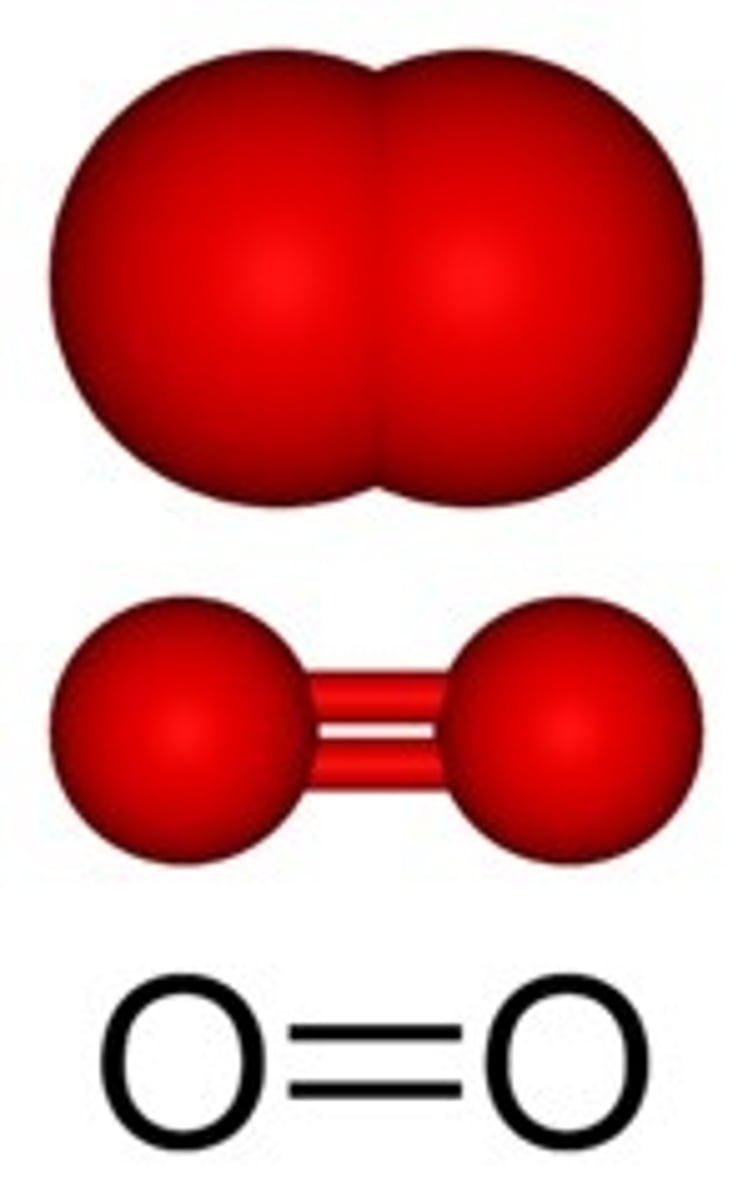<p>Element</p>
